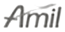Amil
